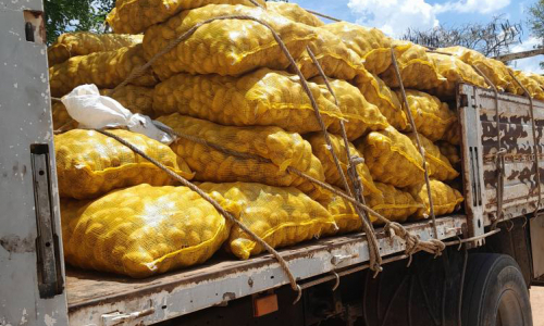 Ya se vende papa normada en Las Tunas
