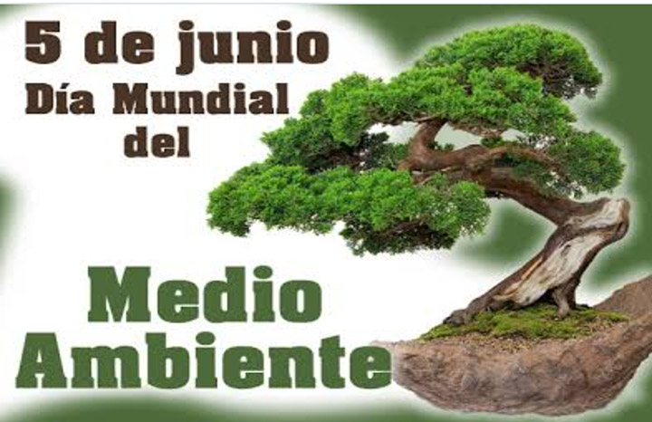 0506 medioambiente