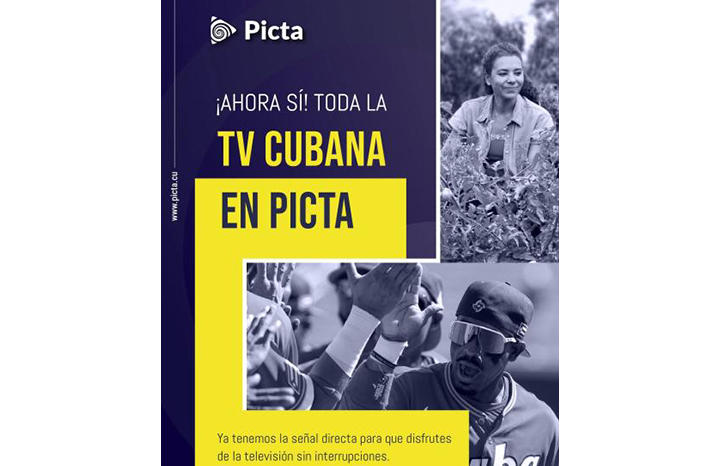 1103 picta