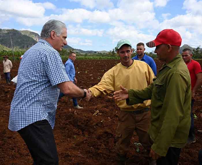 Presidente cubano en visita de trabajo a Jovellanos