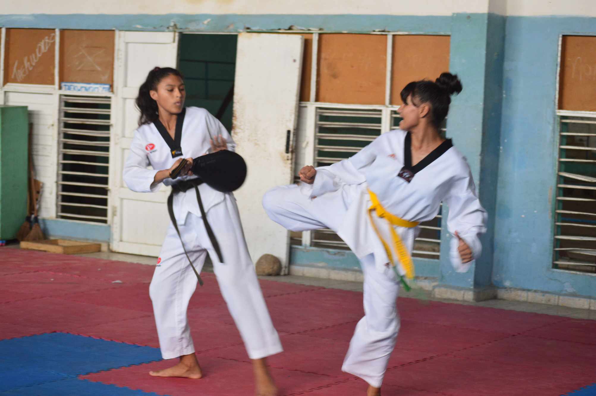 Taekwondo EIDE
