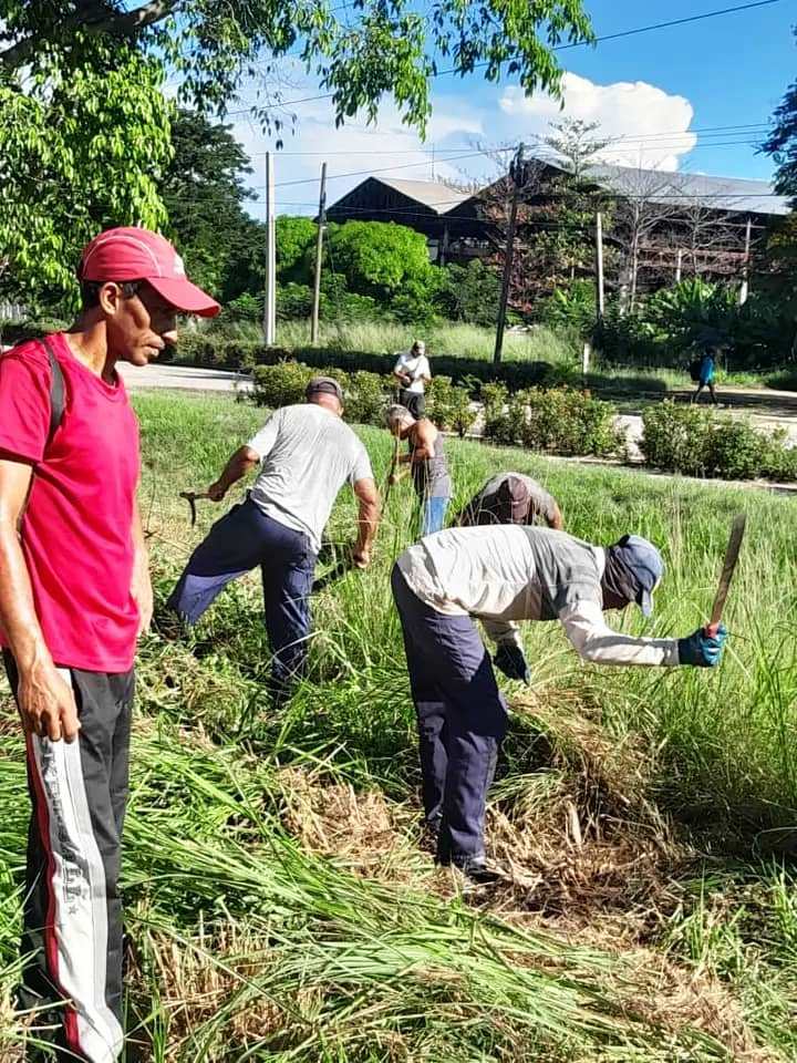 Lossurcos3 Trabajo Voluntario Aniversario triunfo de la Revolución CTC.j