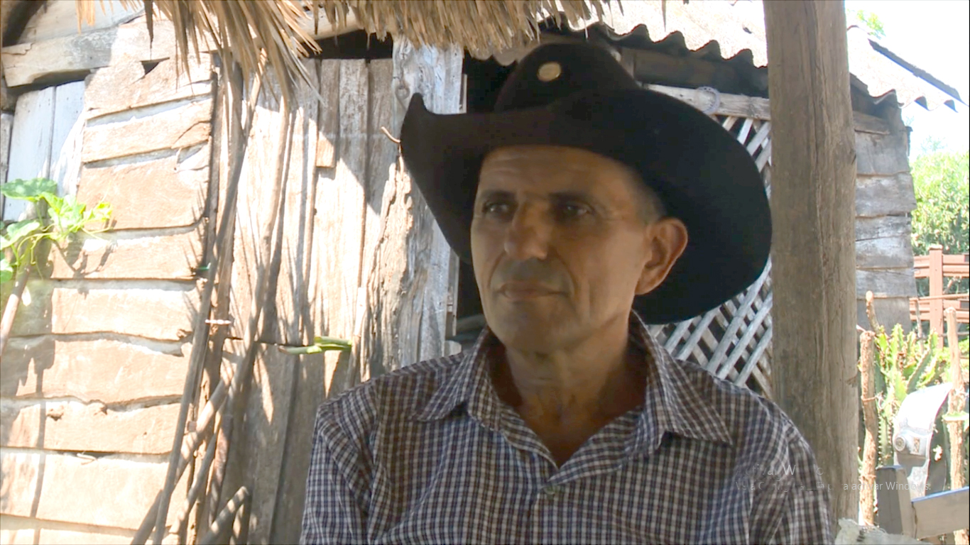 3. Héctor Silva ha enseñado a sus hijos a ser ganaderos Foto Maikel Rivero TunasVisión