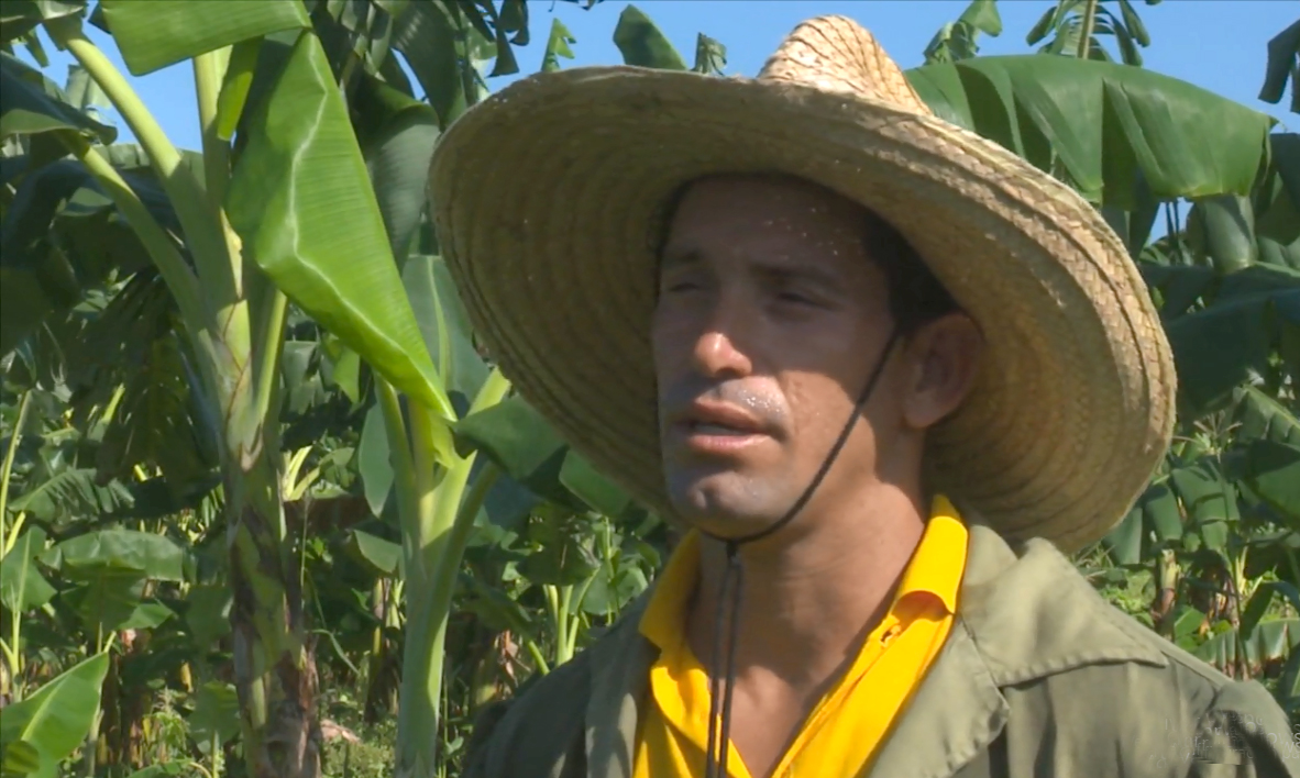 Yusbiel Silva campesino de Majibacoa usufructuario beneficiado por las FAR 4