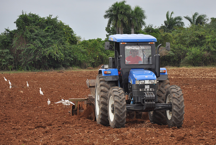 With the arrival of the rainy season, they are boosting the spring planting campaign.