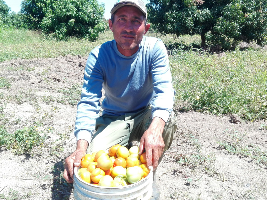 campesino yenima