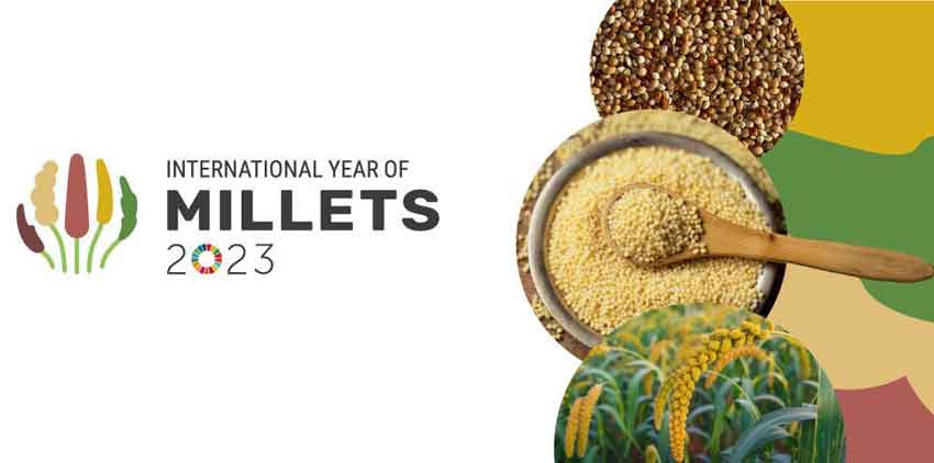 2023 was declared the International Year of Millets