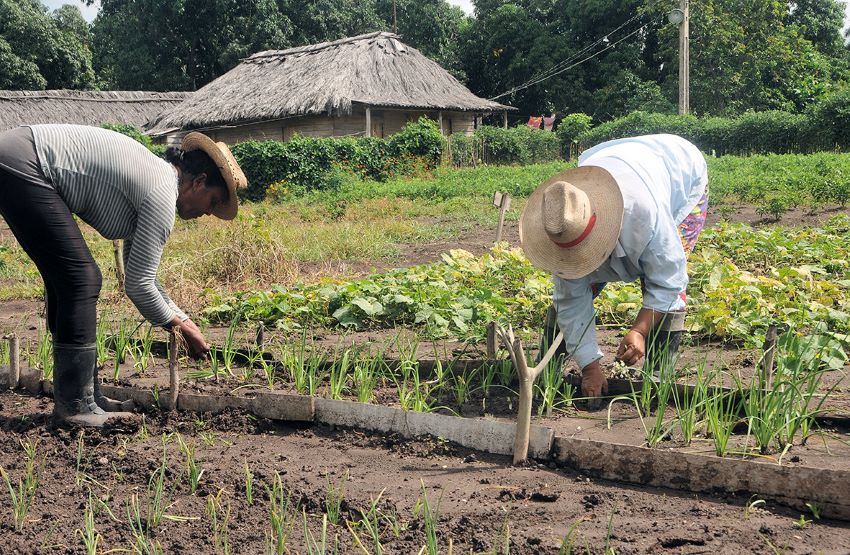 Their challenges of the agricultural workers are enormous