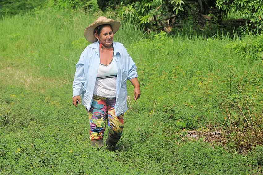 Zenaida Álvarez Arencibia takes charge of the garden in her cooperative