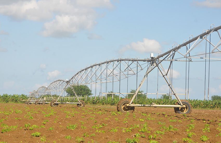 More than 70 kilometers of rice-growing areas and others dedicated to various crops are under irrigation