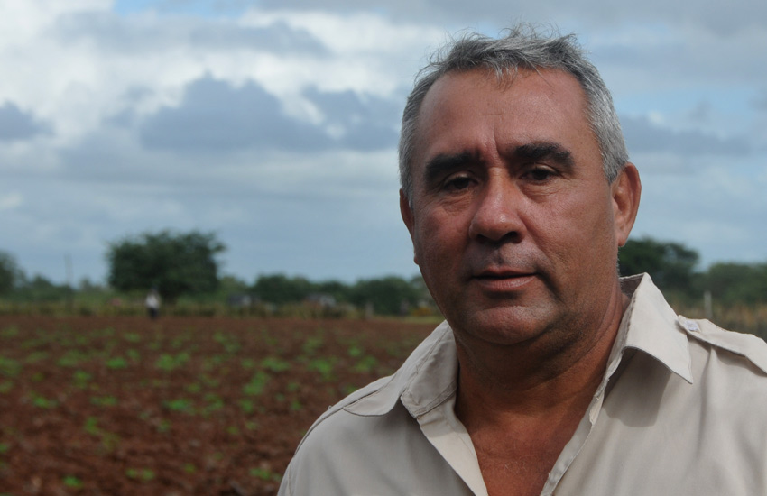 The José Santiago Ercilla agricultural production cooperative (CPA) had a successful year 2020