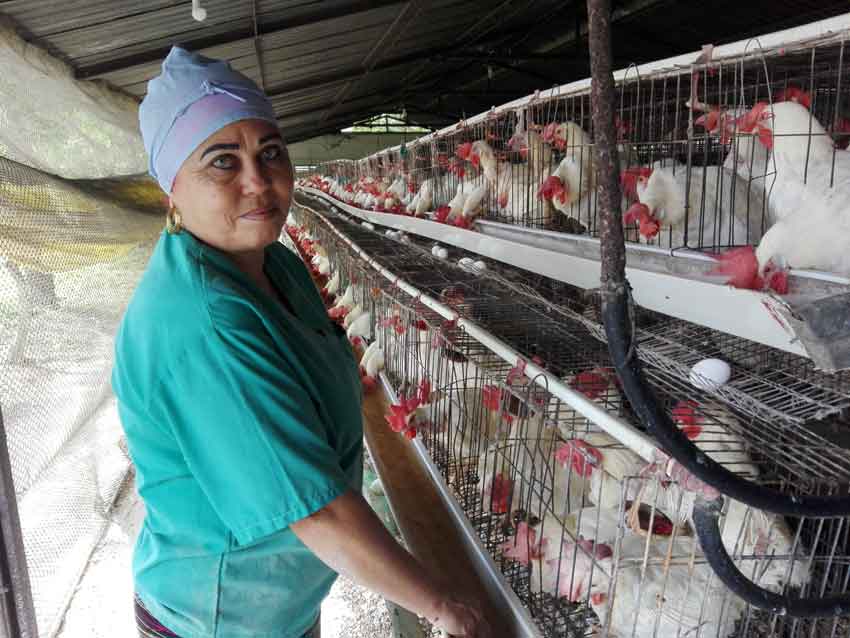 Almida Batista Acosta, a poultry worker