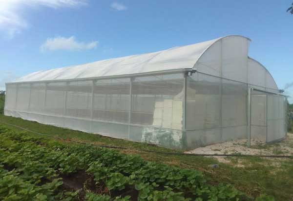 Finca Los Manantiales, una chispa para multiplicar ejemplos y actitudes en la producción de alimentos.