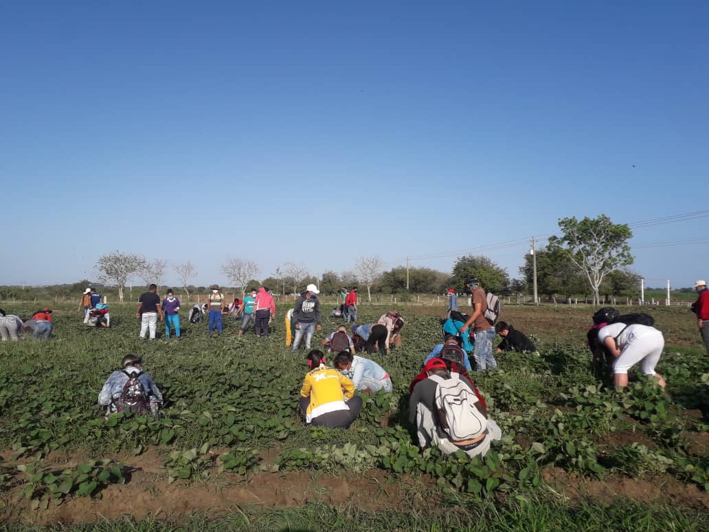 Youth voluntary work at La Salida farm, celebrating April 4