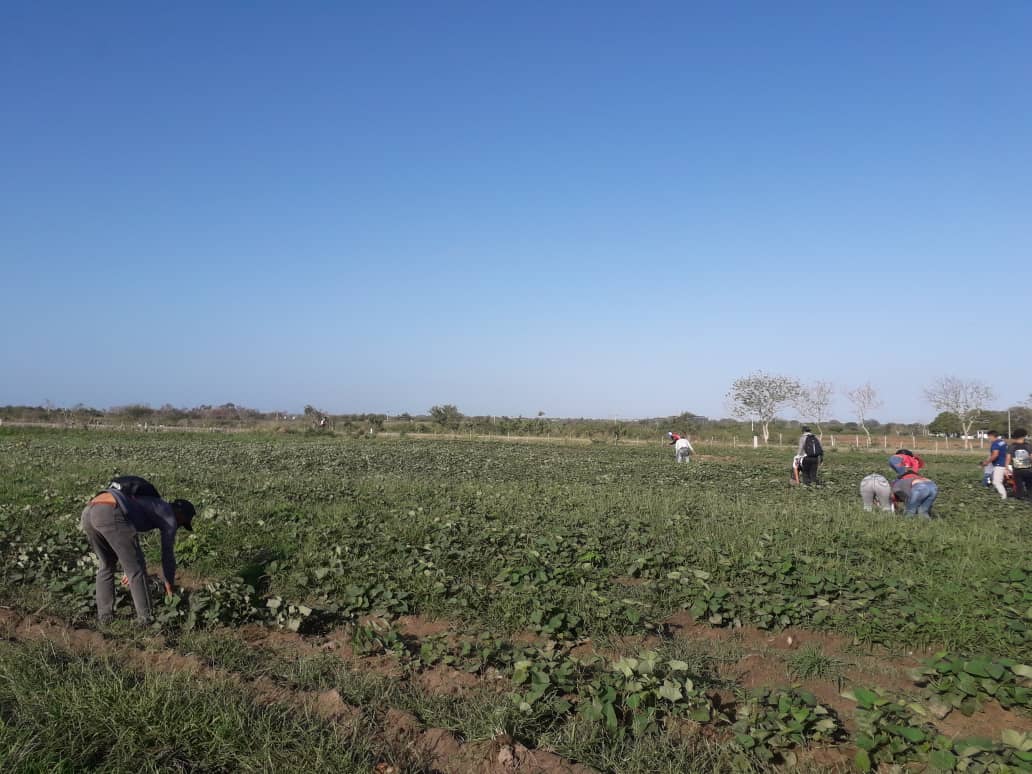 Youth voluntary work at La Salida farm, celebrating April 4