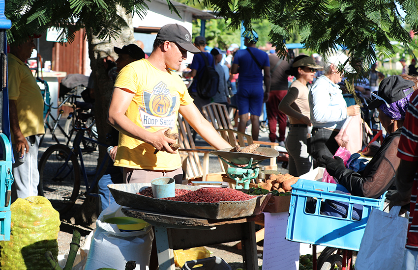 feriamenendez1