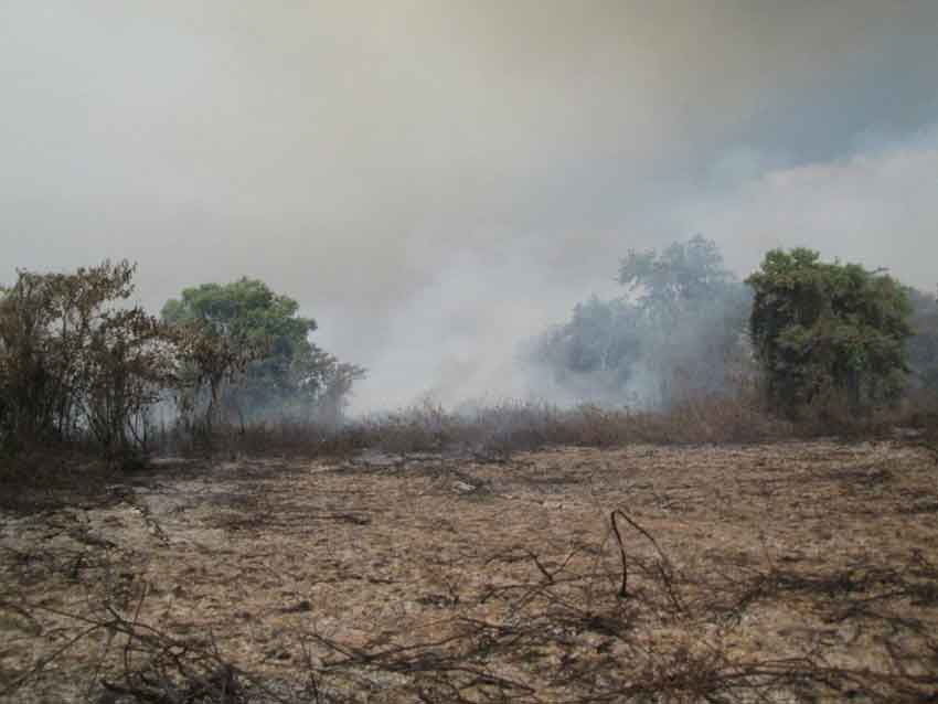 Controlado el incendio forestal cercano al área protegida Monte Cabaniguán