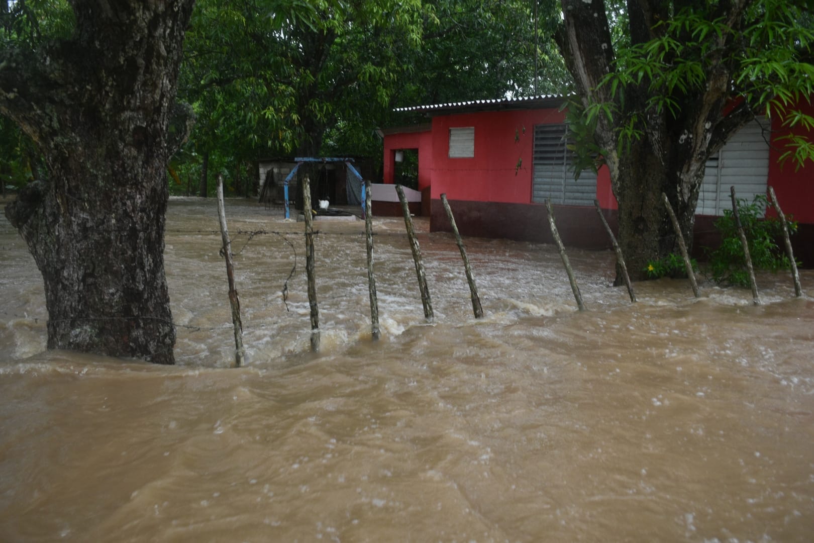 The heavy rains caused damages in houses, agriculture and other facilities