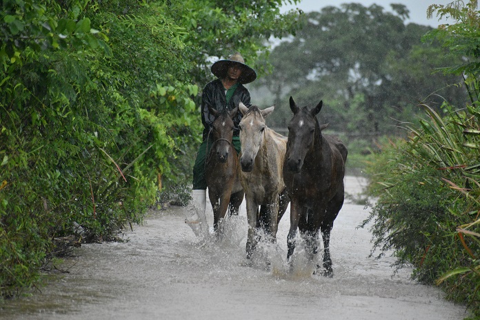 caballos lluvias yaidel