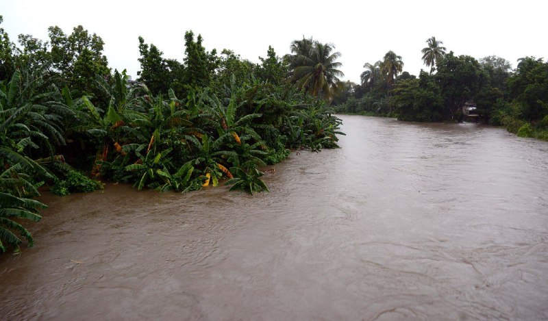 Crop fields received the major impact of the intense rains