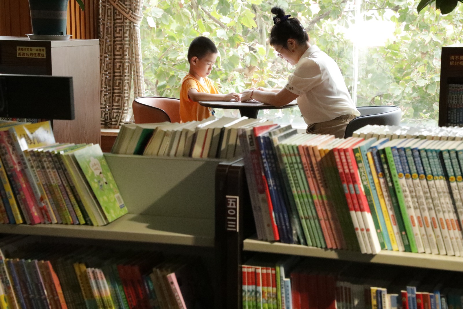 china lectura 2025 2