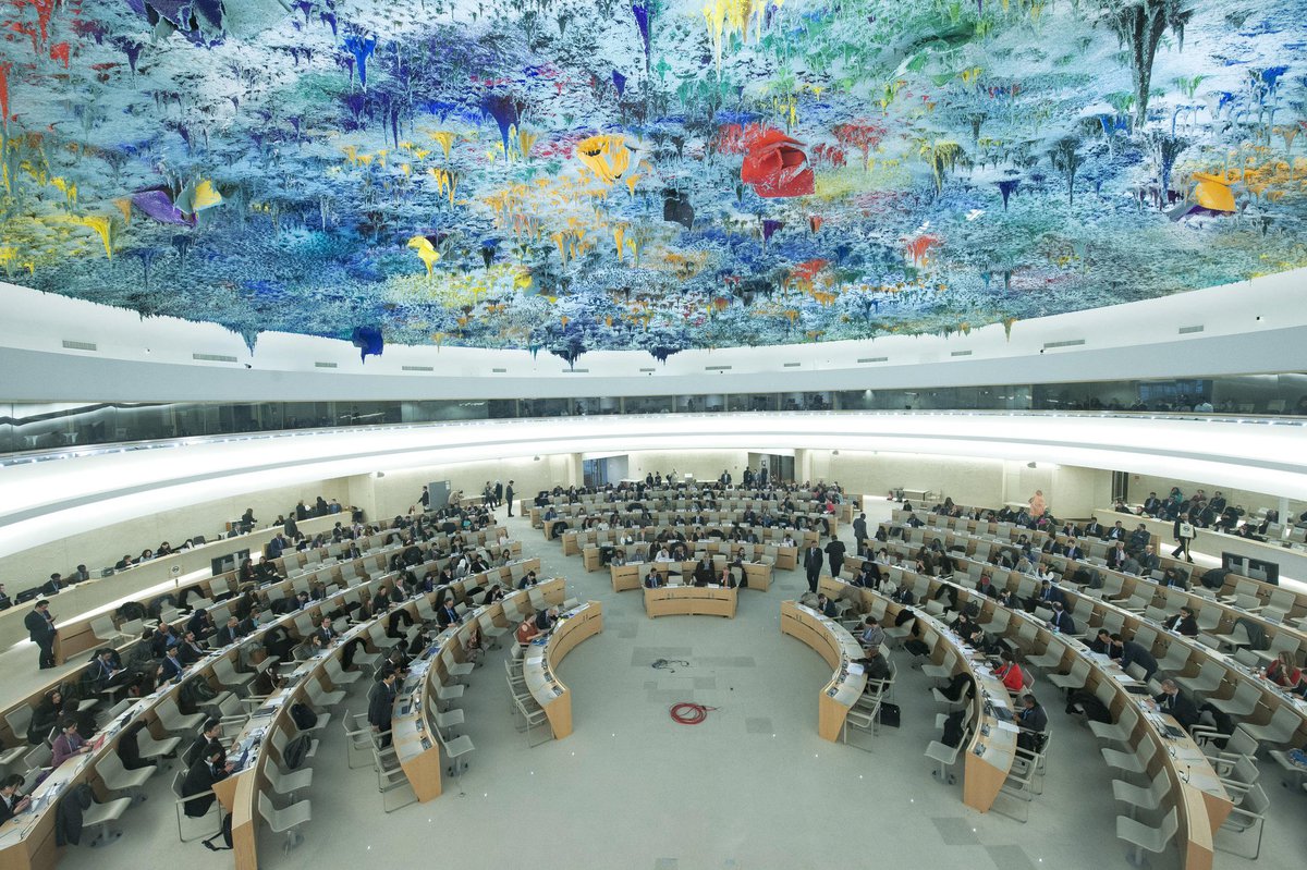 consejo derechos humanos