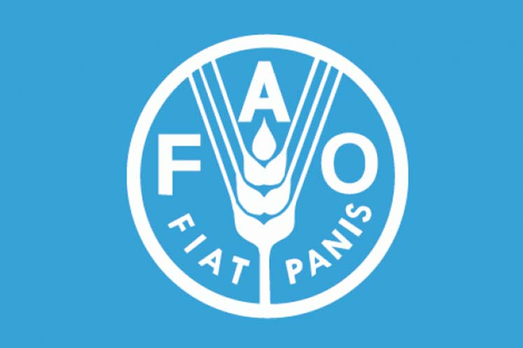 fao 1 1