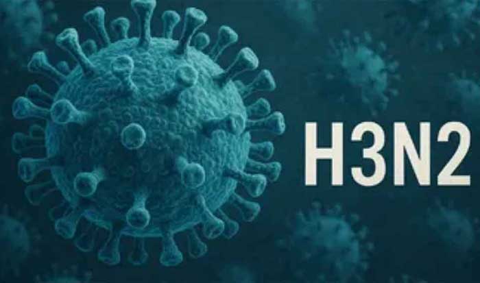 30 countries have reported cases after the new flu variant  English Edition Home News Radio  Facebook Twitter Youtube Telegram Rss SearchSearch NEWS New flu variant detected in more than 30 countries  United Nations, Dec 17 (Prensa Latina) The new variant of influenza A(H3N2), known as J.2.4.1 or subclade K, has already been detected in more than 30 countries, the UN reported. December 17, 2025 12:20         According to the World Health Organization (WHO), although this new variant is not included in current vaccines in the Northern Hemisphere, initial data indicate that existing vaccines continue to protect against severe illness and reduce the risk of hospitalization.  The organization warns that subclade K is spreading rapidly, with the influenza season in the Northern Hemisphere reaching its peak earlier than usual.  Therefore, the WHO emphasizes that vaccination remains the best protection against the most severe symptoms.  Today, 30 countries have reported cases after the new flu varian