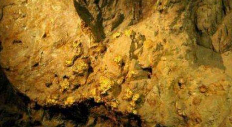 yacimiento de oro