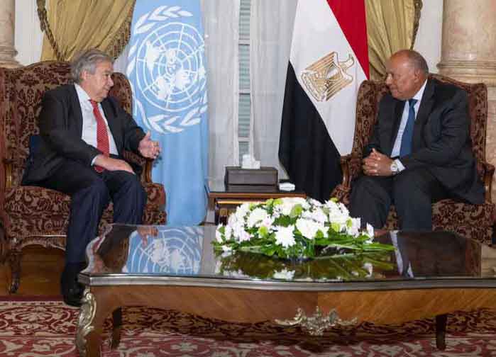 The UN Secretary-General met the Egyptian President Abdel Fattah el-Sisi.