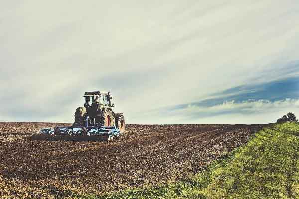 "A la luz del desequilibrio del mercado agrícola mundial las medidas restrictivas pueden tener consecuencias muy graves. La seguridad alimentaria de distintos países y regiones corre peligro", anunció Levin.
