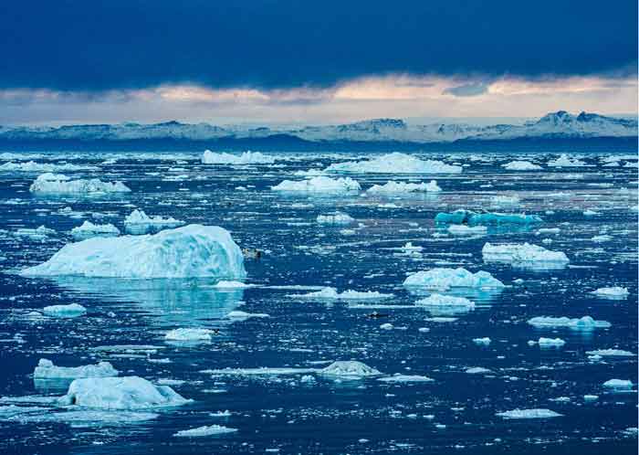 The Arctic could thaw completely before 2050.