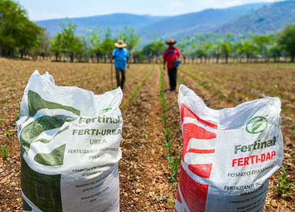 Increaed Latin America import of Russian fertilizers