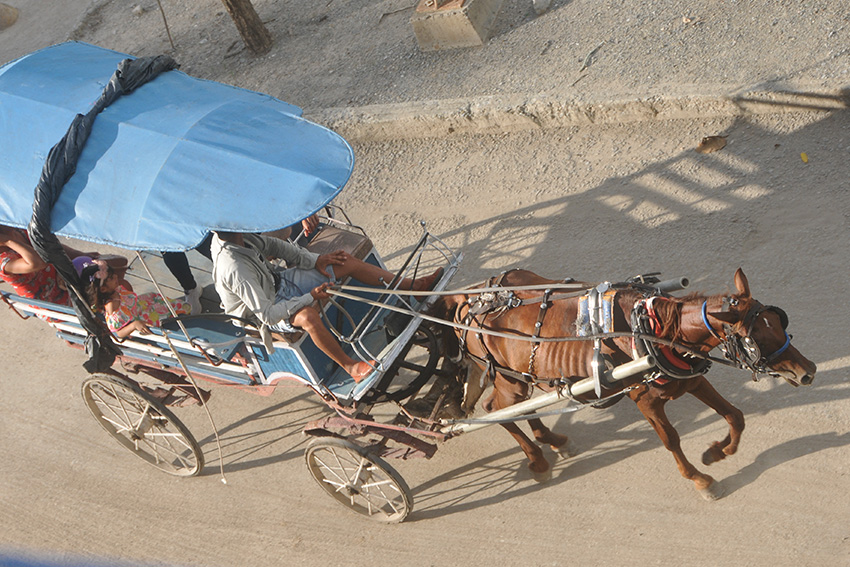 The first cart for transporting passengers was similar to the current pachangas.