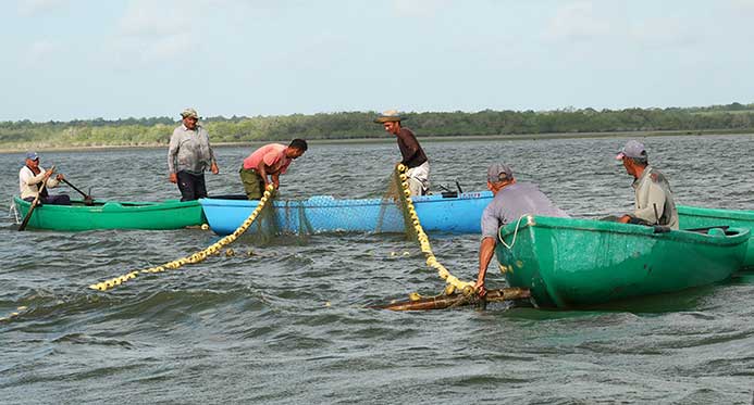 PESCATUN aims to expand food options for families in Las Tunas.