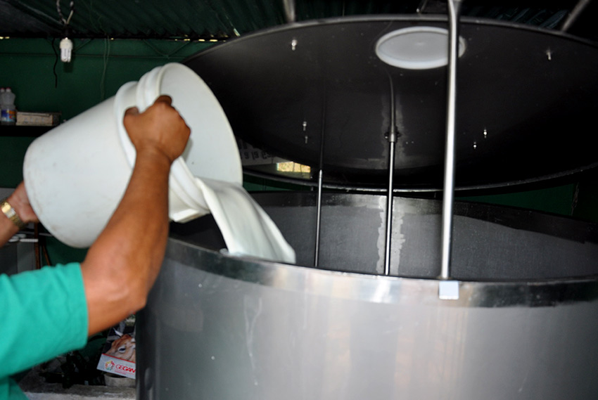 More than four million liters of milk were not produced during 2020