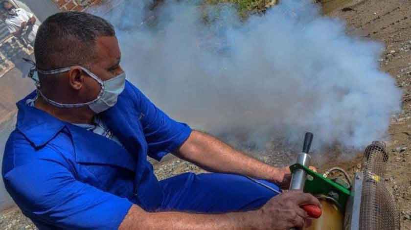 Fumigation is necessary, but avoiding mosquito outbreaks is vital 