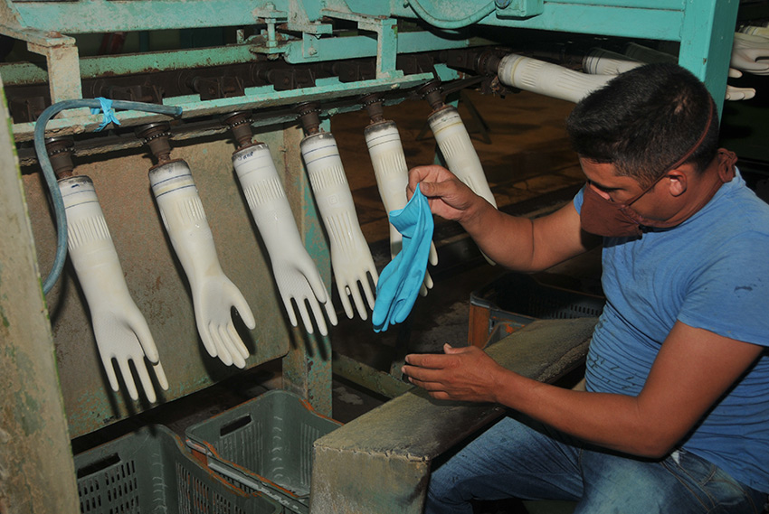 Manufacture of household gloves