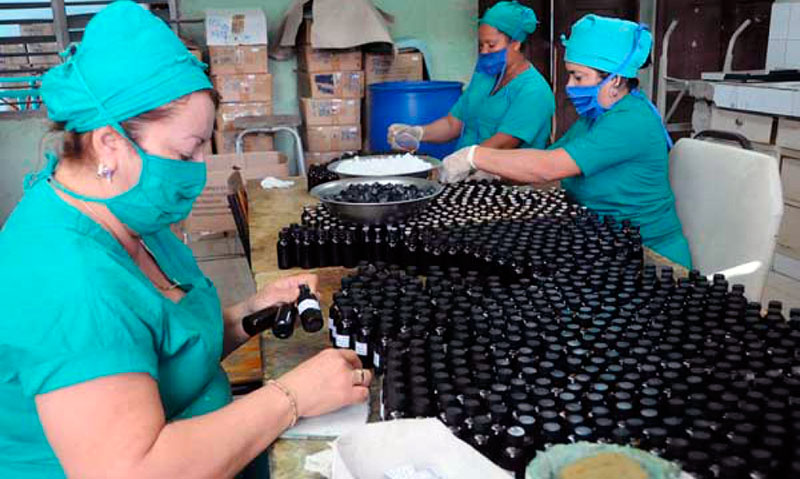 La Medicina Verde constituye una opción para el tratamiento y la prevención de muchas enfermedades