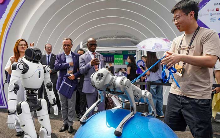 A staff member controls a robot dog to move an exercise ball at the 2025 Inclusion Conference in the&nbsp;Shanghai&nbsp; Bund.
