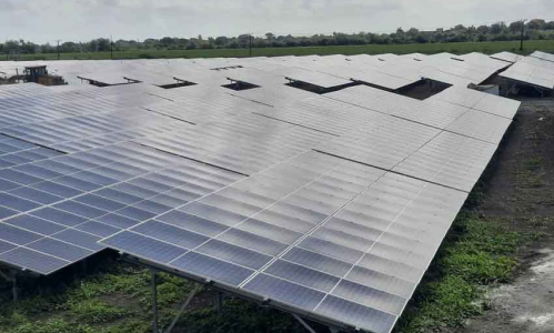 Conalza se alista para la conclusión del parque solar fotovoltaico Nueva Línea