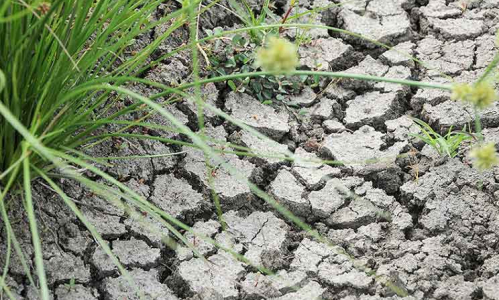 Desertificación y sequía: es tiempo de “desaprender”