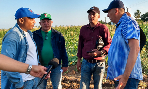 Municipios del sur tunero pueden producir más alimentos