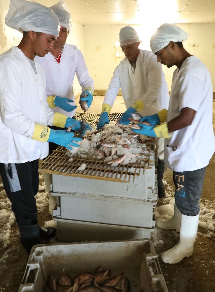 UEB pesca guayabal 4