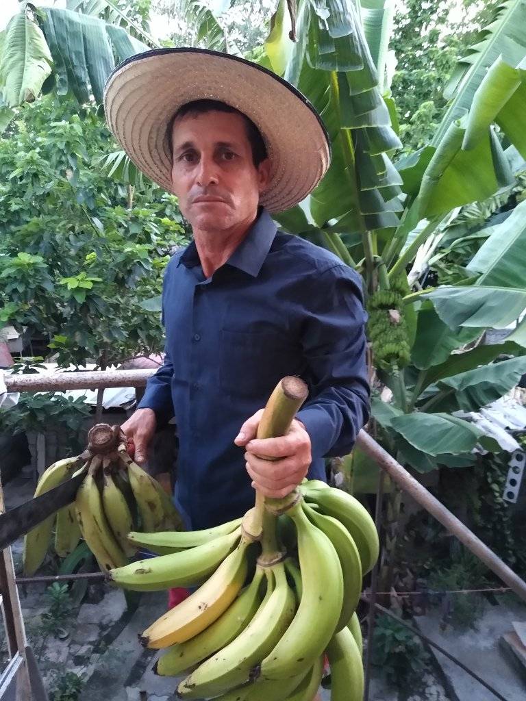 Farmer Juan Miguel Machado Andino