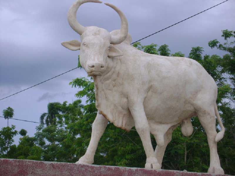 El toro Cornito, una leyenda tunera
