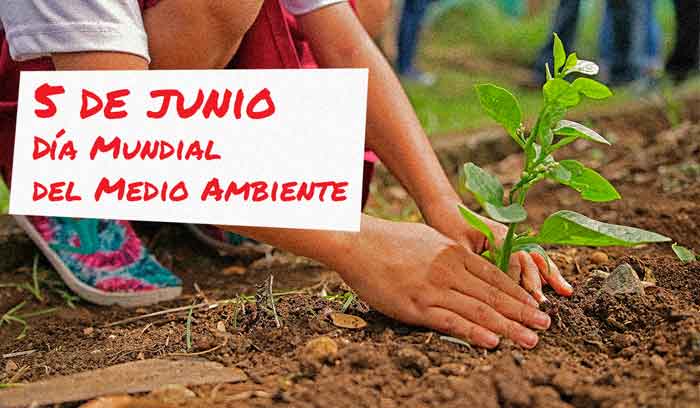 Como colofón de las actividades por la fecha ambientalista, tendrá lugar un acto central nacional en la oriental provincia de Las Tunas 