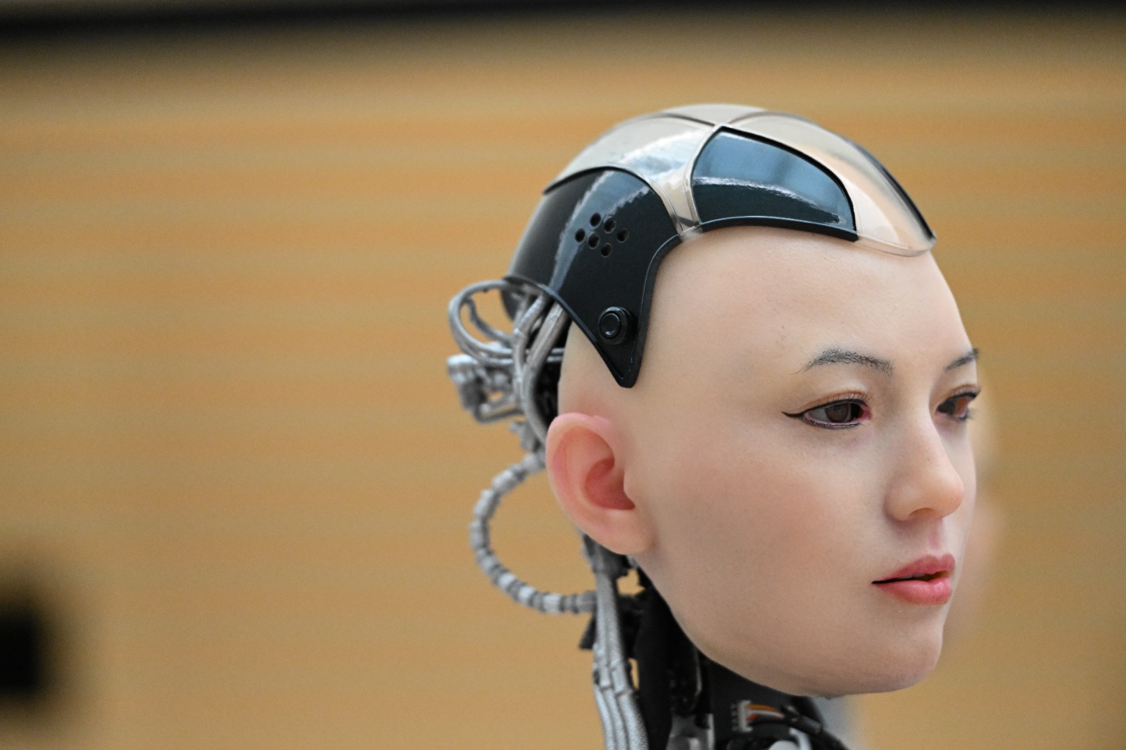 china robots I 1