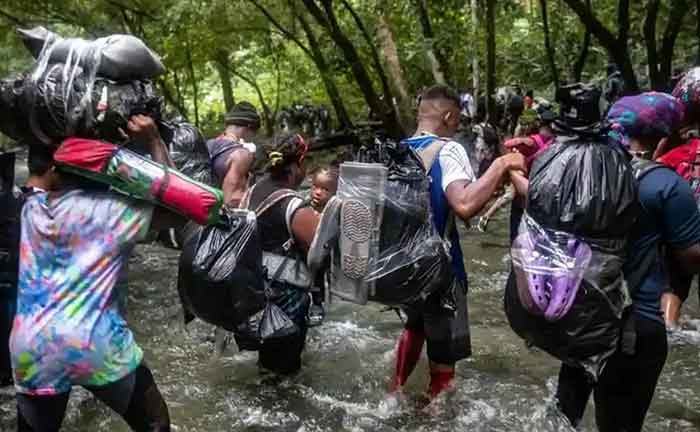 Estadísticas oficiales del Servicio Nacional de Migración señalan que en 2023 más de 520 mil personas cruzaron la jungla.