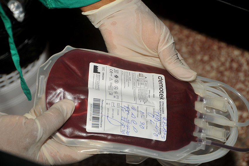 donacion foto rey